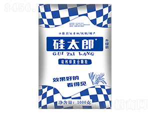 ��̫��-ʢ������