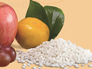 顆粒狀硫酸銨-盛益肥業(yè)