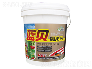 �{ؐ����}-������