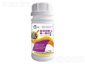 ����������˪һ���t-���Ϙ�-�ڬ�����