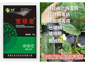 ������-�_(d��)������