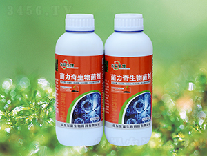 ���������������ƿ��-�|������