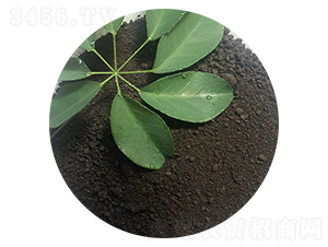 �۠��ЙC(j��)����-ϲ��������