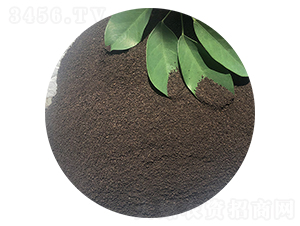 �۠������ЙC��-ϲ��������