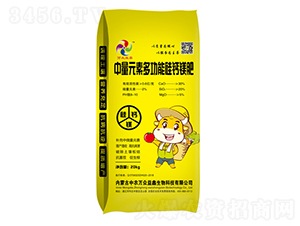 ����Ԫ�ض๦�ܹ��}�V��-�f(w��n)������