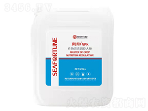 20kg作物營養(yǎng)調(diào)控大師150-150-150-海阜農(nóng)業(yè)