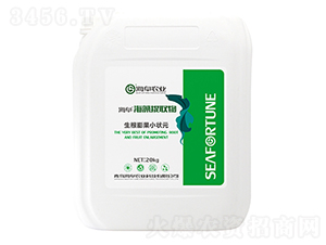 海藻提取物-生根膨果小狀元-海阜農業(yè)