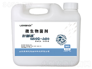 �~����΢�������-���M��΢