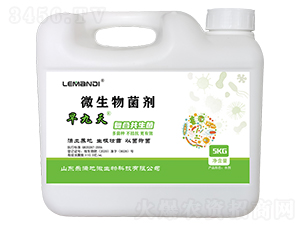 �����΢�������-���M��΢