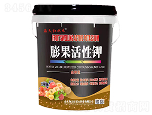 ��������-����t��Ԫ