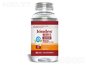 ��һԪ�����w��-�{��ʿ���w��-�����Z