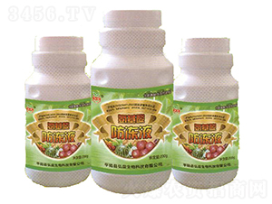 氨基酸防凍液-弘蕊生物