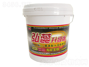 �������ЙC�����-��������