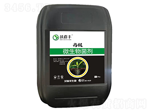 �и�΢�������-�����S