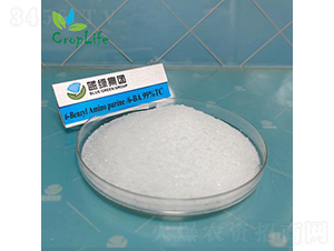 6-�S��������-����˹����