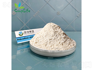 �{(di��o)�h(hu��n)���}-����˹����