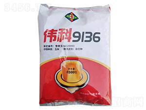 ����9136���׷N��-�Є�(chu��ng)�N�I(y��)