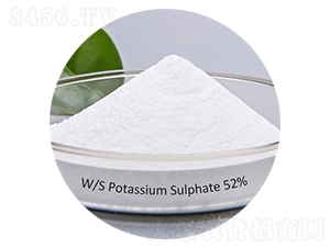 ����⛣������Է�ĩ��-��(��i)��˼�_(d��)