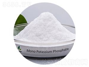 ������⛣�0-52-34��-��(��i)��˼�_(d��)