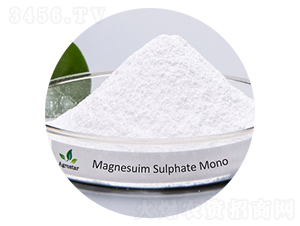 �����V�η�������-�۸�˼�_