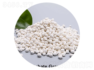 ����⛣����-�۸�˼�_(d��)