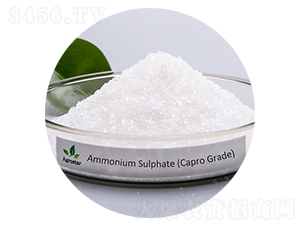 �����@���w-�۸�˼�_(d��)