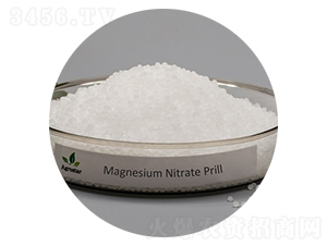 �����V��ĩ���w��-�۸�˼�_