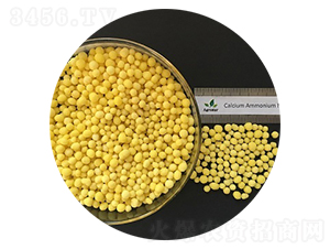 �����}�w��+��-�۸�˼�_(d��)