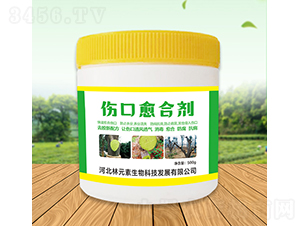 �������τ�-��Ԫ��