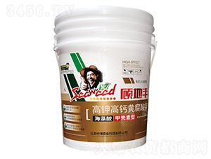 ��⛸��}�S�����-��S-�в��r(n��ng)�I(y��)