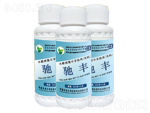 �󗗌����Y�S-ʥ�R����