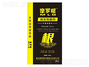 ΢�������-Ħ�_��