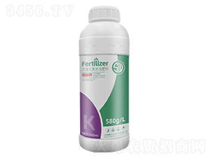 �Ǵ��-��������