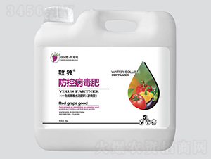 ���ز�����-�ª�-�t����