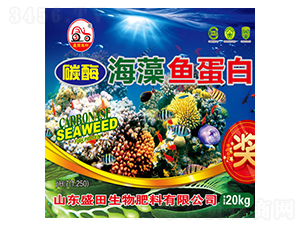 ̼ø�����~����-ʢ������