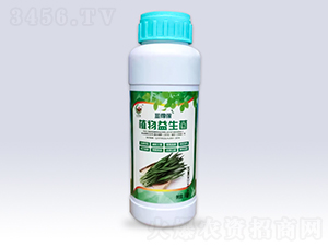 �²ˌ���ֲ��������-��¡���