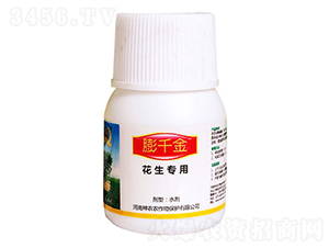 ��ǧ�𣨻������ã�-�������r(n��ng)