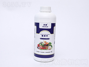 �Ǵ��}-��������