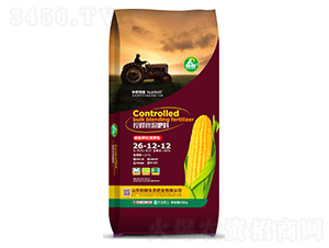 ��ጓ������26-12-12-�J��