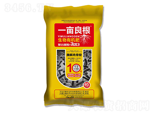 �����ЙC(j��)��-һ������-��Z�r(n��ng)�I(y��)