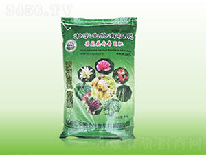 ���������ЙC��-�������