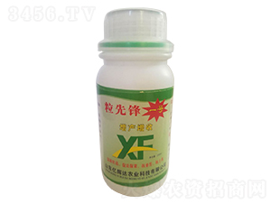 �����h1̖���a(ch��n)����-�|�x�_(d��)