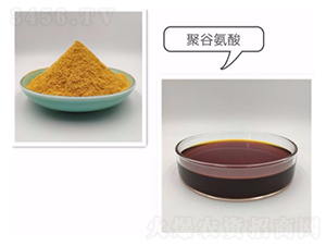 �۹Ȱ���-�����_(d��)