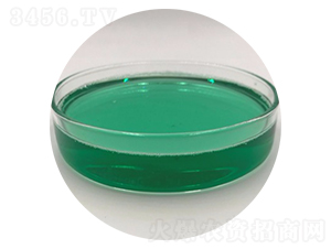 �Ǵ��}-�����_