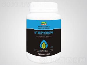 �VԴ�S�����-�f����