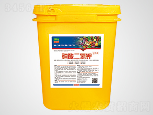 ��������-�f(w��n)����