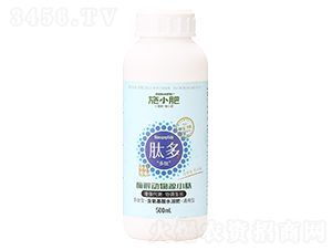 ø�����ԴС��-�Ķ�-ʩС��