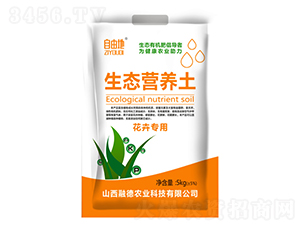 ���܌������B(t��i)�I(y��ng)�B(y��ng)��-���ɵ�-�ڵ��r(n��ng)�I(y��)