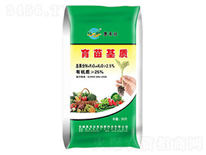 ������|(zh��)-�ݺ̉�����