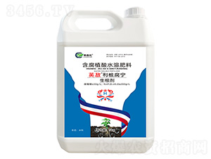 ������-Ӣ������������-��ɭԪ